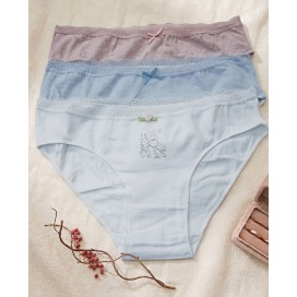 Pack de 3 Bragas de Algodón Suave con cintura de Encaje - Máxima Delicadeza y Confort