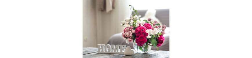Decoración y Regalos para el Hogar | Estilo y Originalidad