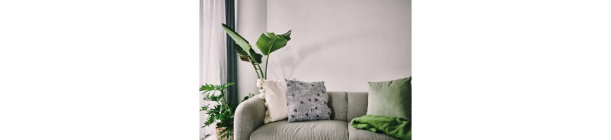 Cojines, Rellenos y Fundas | Estilo y Confort para tu hogar